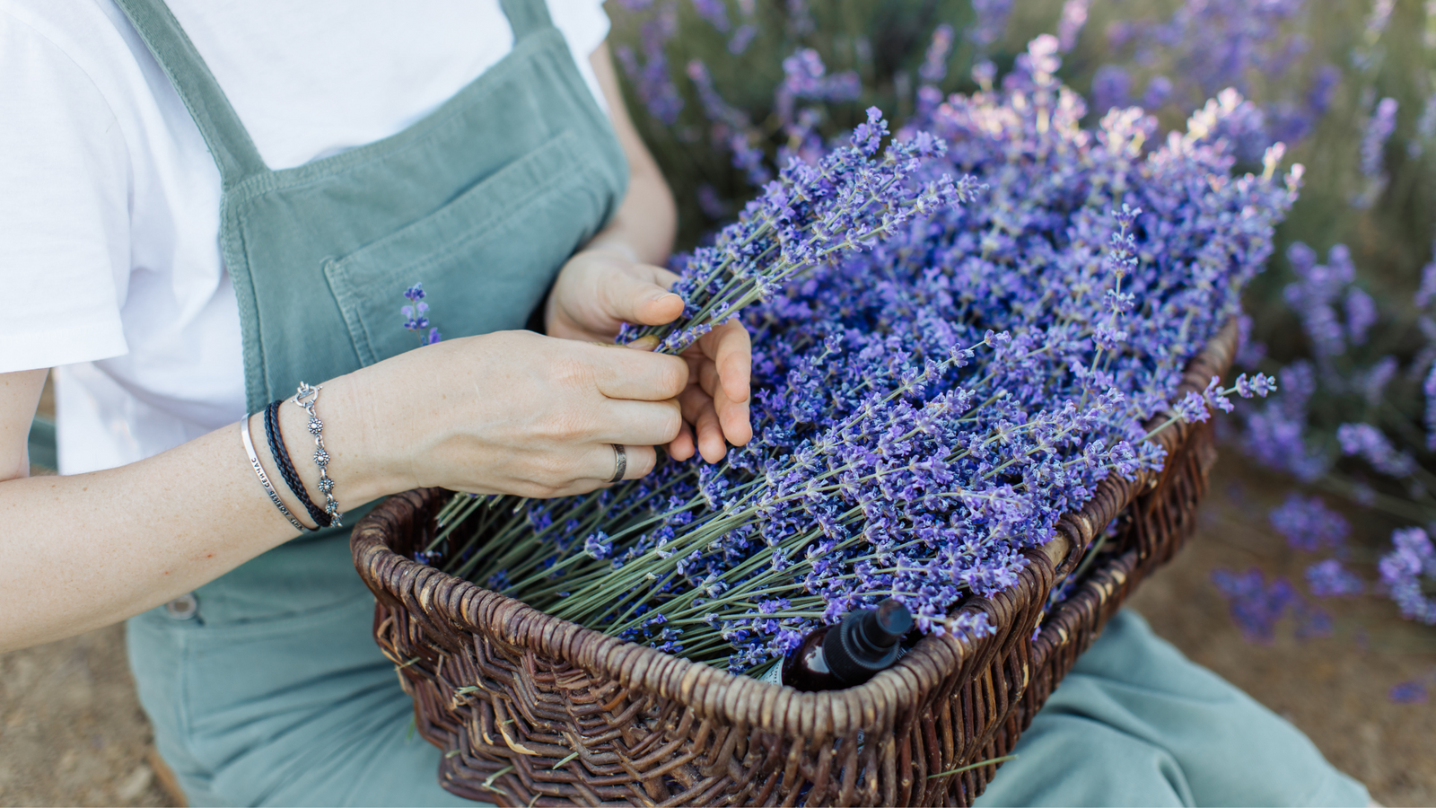 using lavender essential oil to improve quality sleep