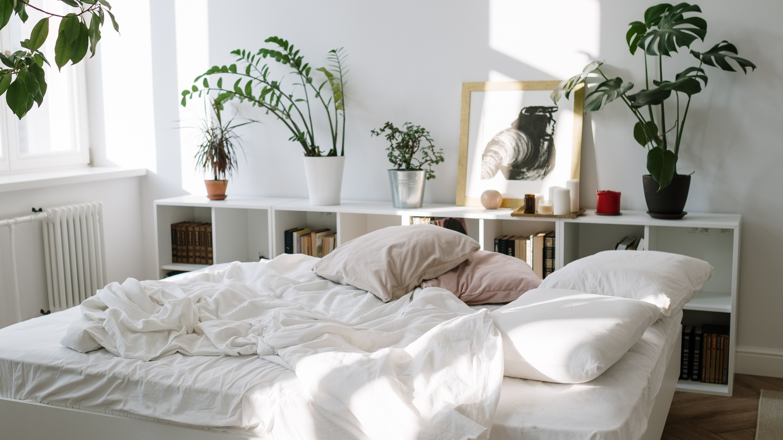 Why Is Sleep Important?